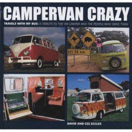 60ad2a5429_CamperVan Crazy2.jpg